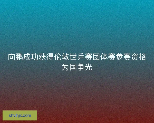 向鹏成功获得伦敦世乒赛团体赛参赛资格为国争光