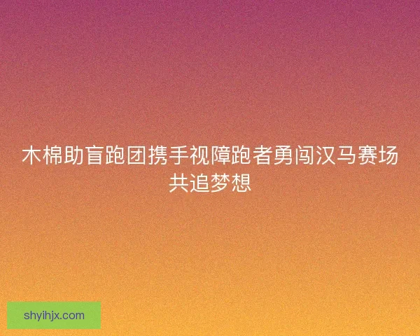 木棉助盲跑团携手视障跑者勇闯汉马赛场共追梦想